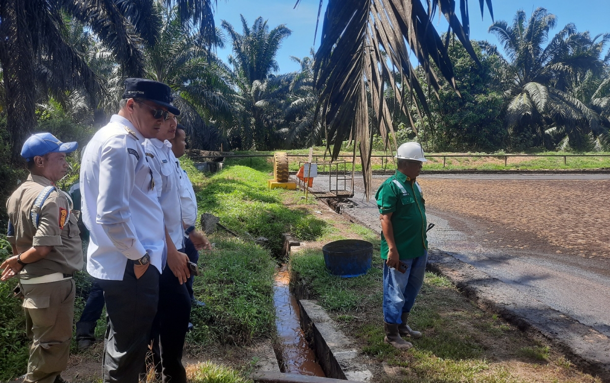 Pemkab Palas Rekomendasikan Operasional PT MSB Dihentikan