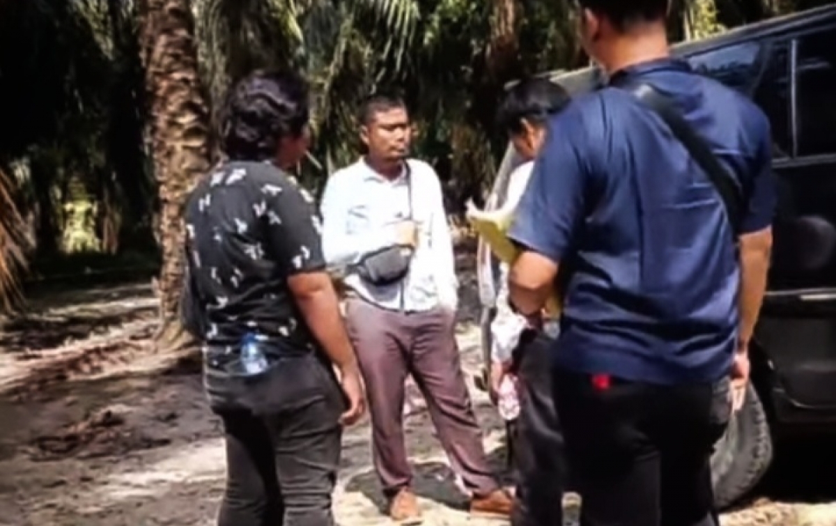 Diduga Masih Kawasan Hutan, 70 Hektar Kebun Sawit di Papaso Dikuasai Pensiunan ASN