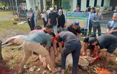 Idul Adha 1446 H, UISU Sembelih 19 Hewan Kurban untuk Masyarakat dan Civitas Akademika