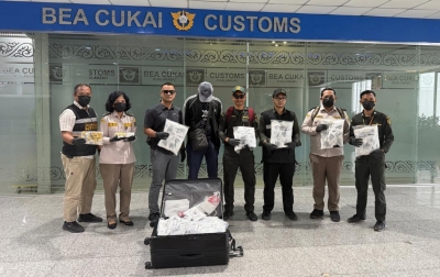 Bea Cukai Kualanamu Gagalkan Penyelundupan Ribuan Satwa Tujuan Luar Negeri