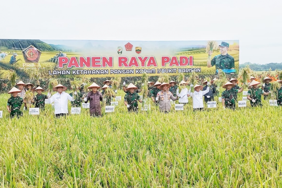 Panen Raya di Pantailabu, Panglima TNI: Ketahanan Pangan Ketahanan Negara