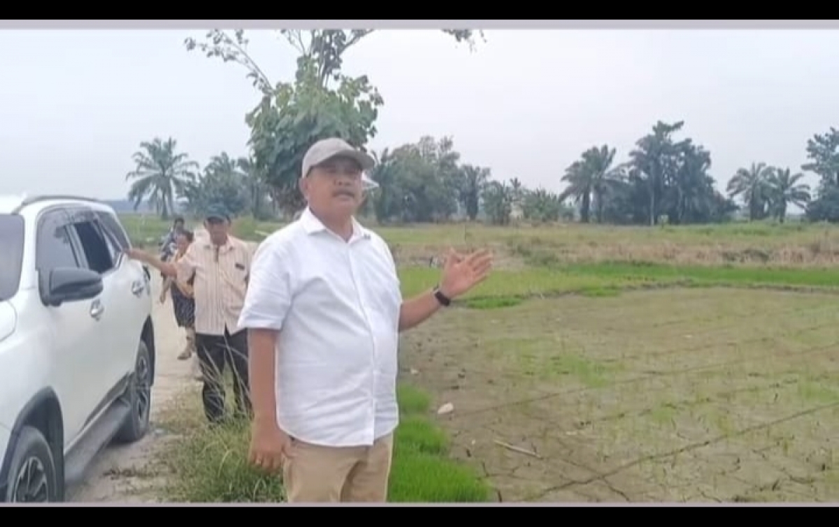 Ribuan Hektare Sawah Terancam Gagal Panen, DPRD Sumut Desak Perbaikan Bendungan di Asahan dan Batubara