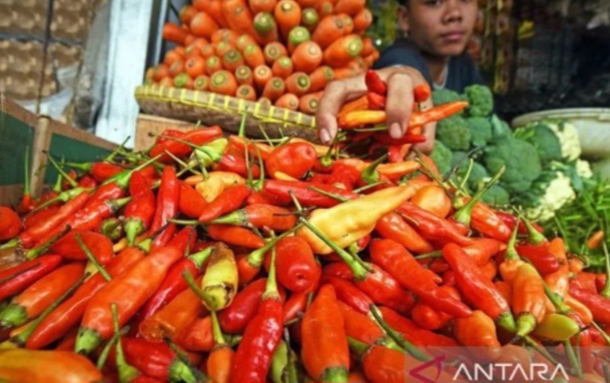 Harga Pangan Nasional Turun Tipis, Ini Rinciannya
