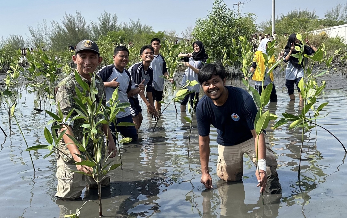 Hari Mangrove Internasional: 1.000 Bibit Bakau Ditanam di Danau Siombak