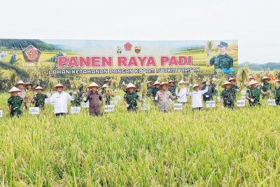 Panen Raya di Pantailabu, Panglima TNI: Ketahanan Pangan Ketahanan Negara