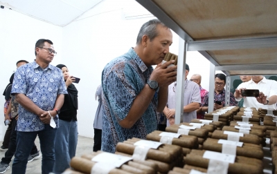 Pabrik Cerutu Tembakau Deli Diresmikan, Siap Bertarung di Pasar Global