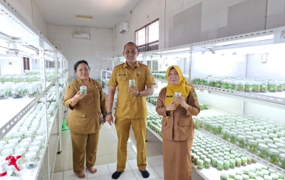 BIH Gedung Johor Tetap Produksi Bibit Berkualitas