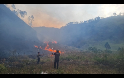 Selama Juni-Juli 2025 1.820 Hektare Hutan Lindung di Sumut Terbakar