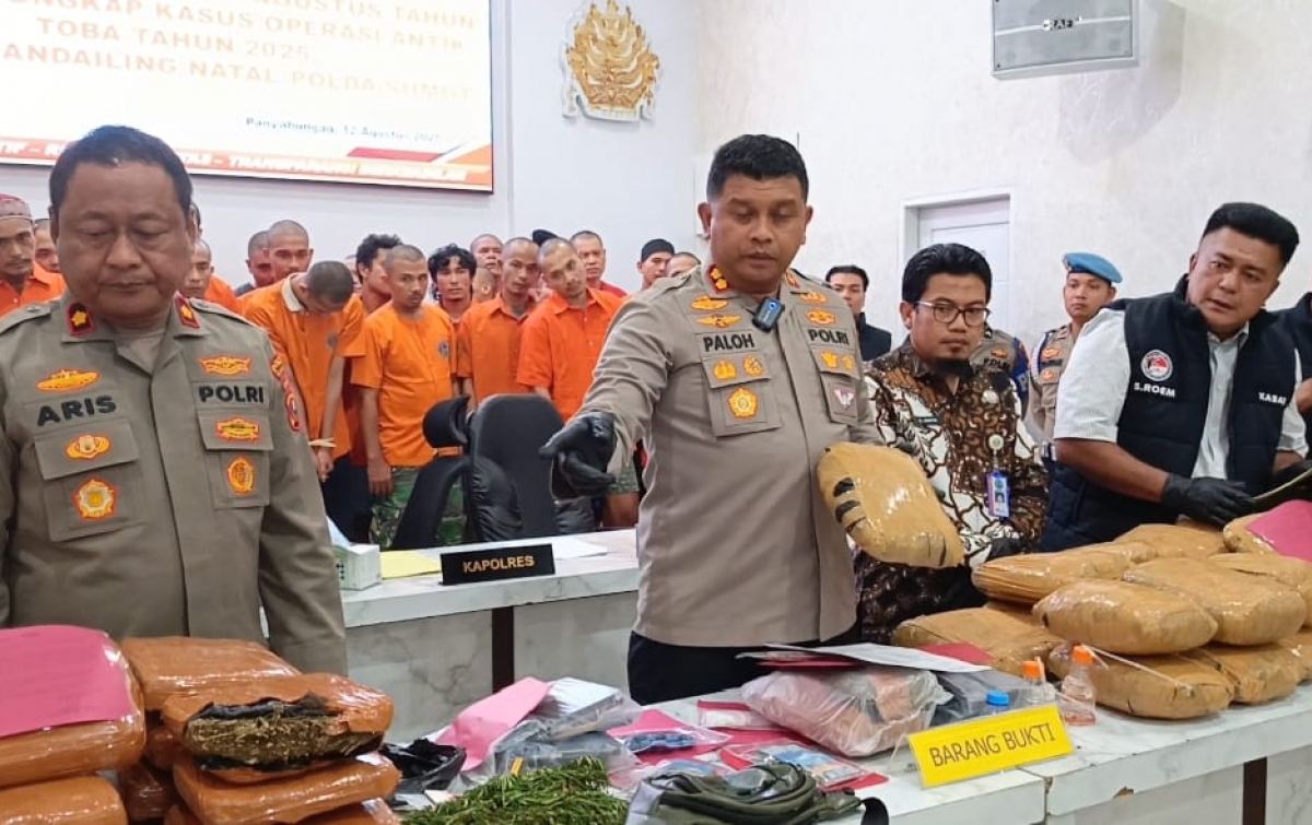 Polres Madina Ringkus 36 Tersangka Narkoba dan Ungkap 2 Ladang Ganja