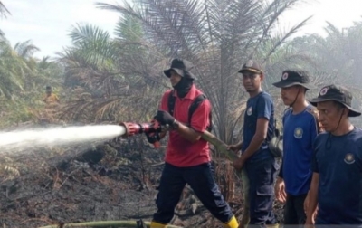 Kebakaran Lahan di Aceh Barat Sepanjang Juli-Agustus Berhasil Dipadamkan