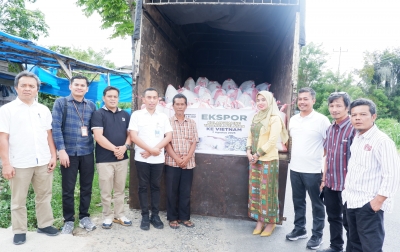 Potensi Kolang-Kaling Tapanuli Selatan Tembus Pasar Asia, Vietnam Jadi Pembeli Setia