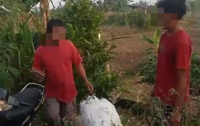 IKDS Pastikan Kasus Dugaan Pencurian Ubi di Deliserdang Sudah Damai