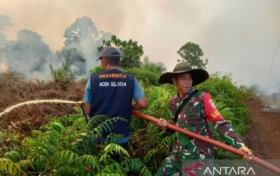 Karhutla Sumatera Meluas, BNPB Tangani Kebakaran di Sumut, Sumbar, dan Aceh