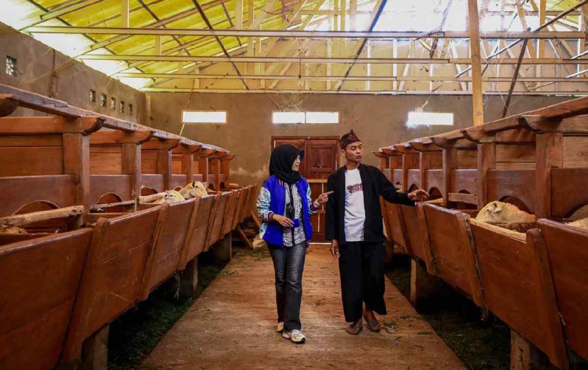 Penyaluran KUR BRI Dorong Setengah Juta Pengusaha UMKM Naik Kelas