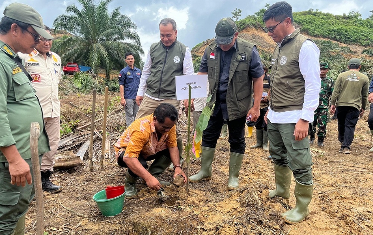 Kemenhut Bersama Satgas PKH Musnahkan 360 Ha Kebun Sawit Ilegal di Taman Nasional Gunung Leuser