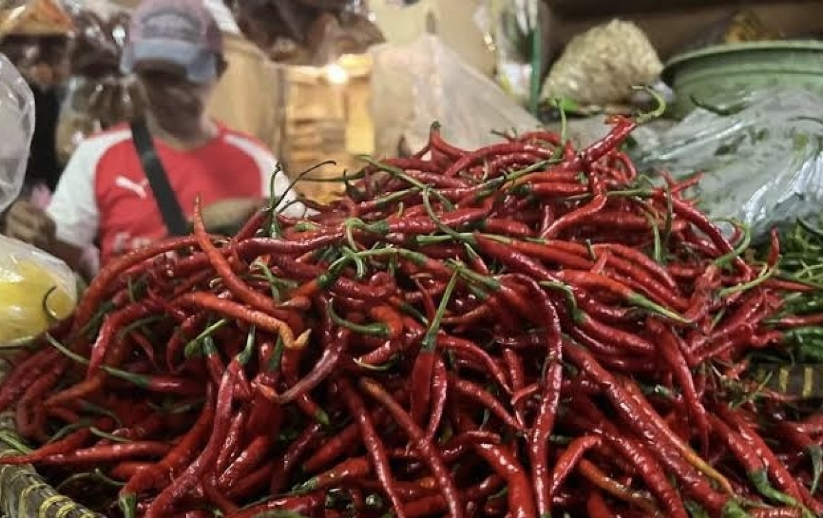 Harga Cabai Merah Tembus Rp 100 Ribu/Kg, Masyarakat Tak Perlu Panik, Apalagi ‘Panic Buying’