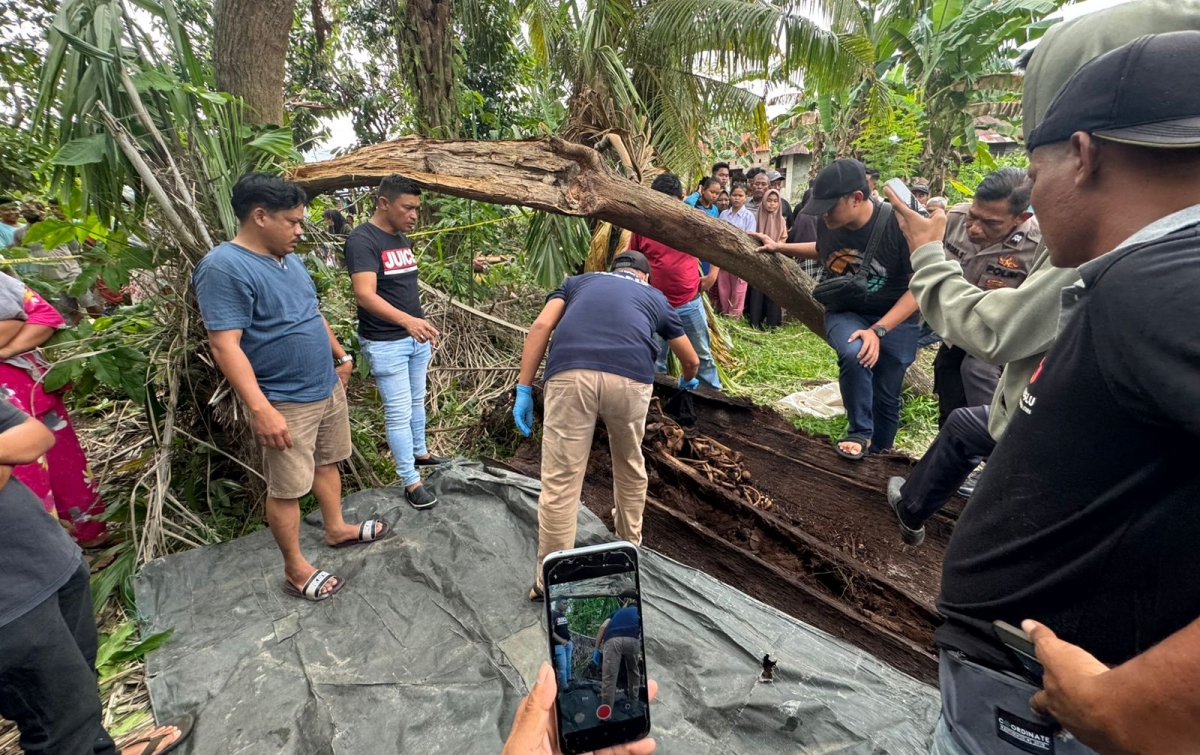 Tulang Belulang Manusia Ditemukan di dalam Pohon Aren, Gegerkan Warga Sergai