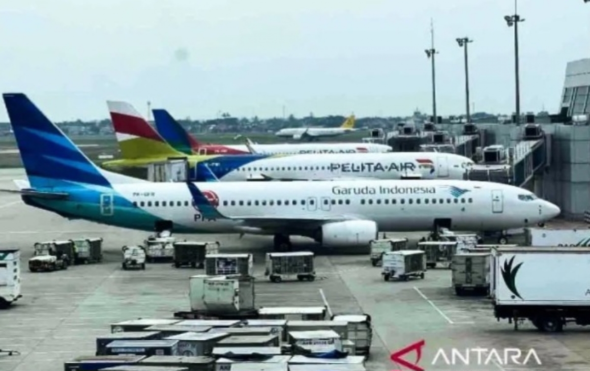Merger Pelita Air dan Garuda, CEO Danantara: Masih Evaluasi