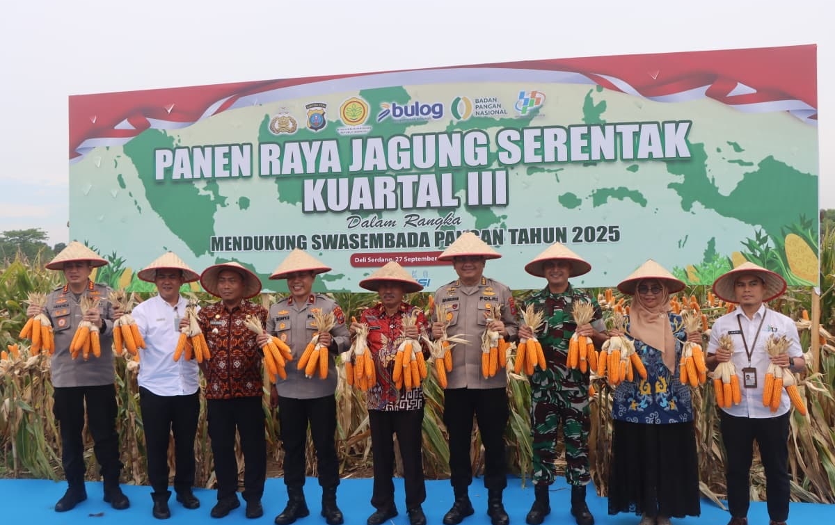 Dukung Ketahanan Pangan Nasional, Polresta Deliserdang Panen Raya Jagung Kuartal III
