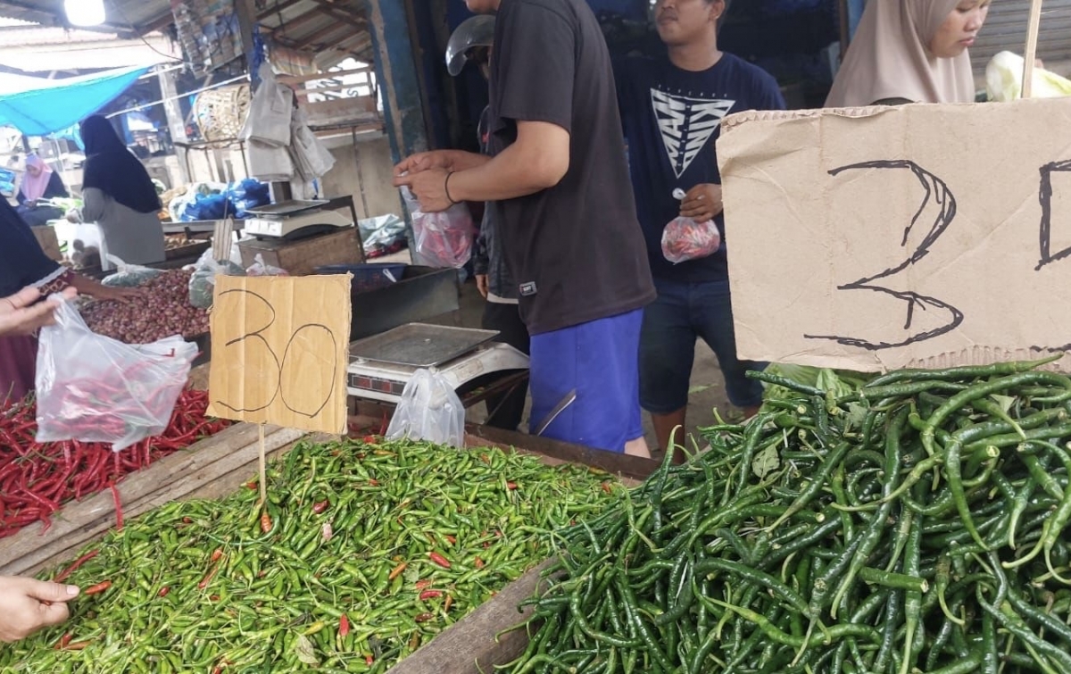 Gejolak Harga Cabai Masih Terjadi di Dataran Rendah, Sentuh Rp 100 ribu/Kg di Stabat