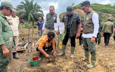 Kemenhut Bersama Satgas PKH Musnahkan 360 Ha Kebun Sawit Ilegal di Taman Nasional Gunung Leuser