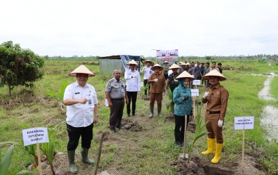 Dukung Ketahanan Pangan Nasional, Imigrasi Sumut Tanam 2.000 Bibit Kelapa