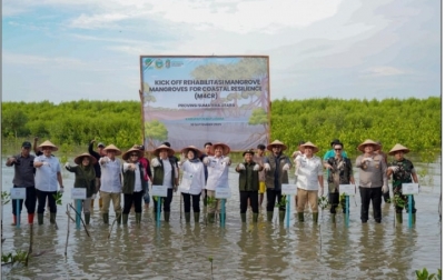 Selama 2025, Menhut Targetkan Penanaman Mangrove M4CR 15.387 Hektare di 4 Provinsi