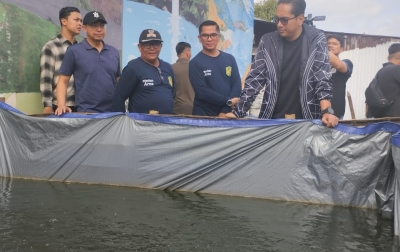 Wali Kota Medan Tinjau Kebun Sayur Organik di Kelurahan PMT