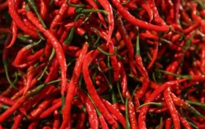 Harga Cabai Merah Kembali Tembus Rp 100 Ribu per Kg, Cabai Kardus Jadi Pemicunya