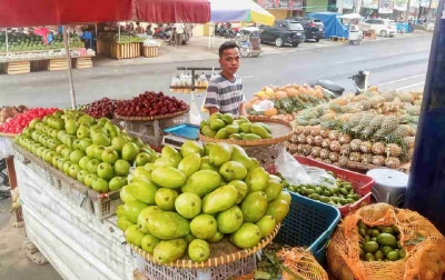 Manfaatkan KUR BRI, Pedagang Nanas Ini Sukses Kembangkan Produk Olahan yang Diminati Pasar