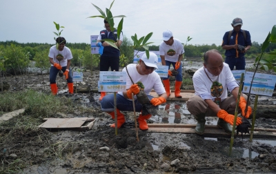 Pelindo Multi Terminal Group Tanam 11.000 Mangrove Bawa Manfaat Bagi Masyarakat
