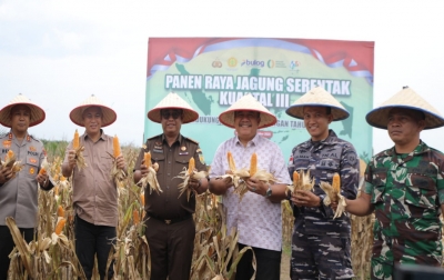 Panen Raya Jagung di Asahan, Polres dan Forkopimda Dorong Swasembada Pangan