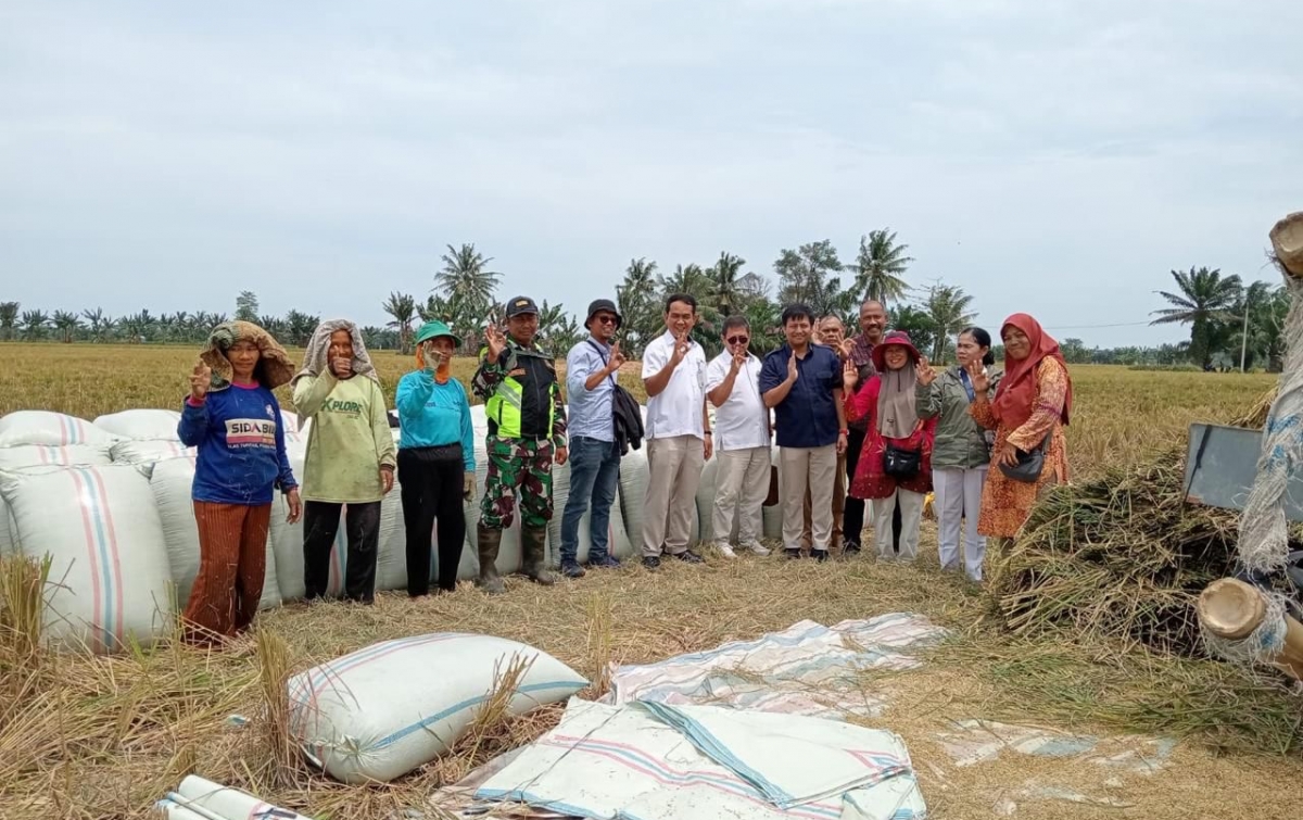 Bulog Sumut Siap Terima GKP dari Petani Rp 6.500/Kg