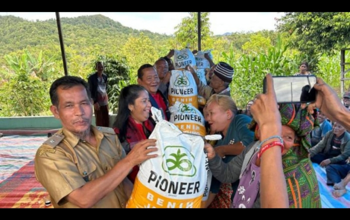DPD PDI Perjuangan Bagikan 6 Ton Bibit Jagung Pioneer 32 ke Petani