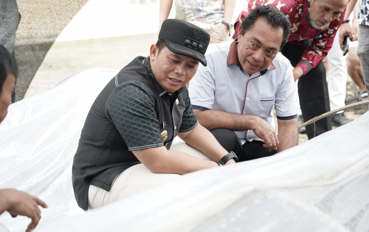 Topang Ketahanan Pangan, Pemkab Palas Manfaatkan Lahan Kosong di Perkantoran Jadi Kebun Cabai