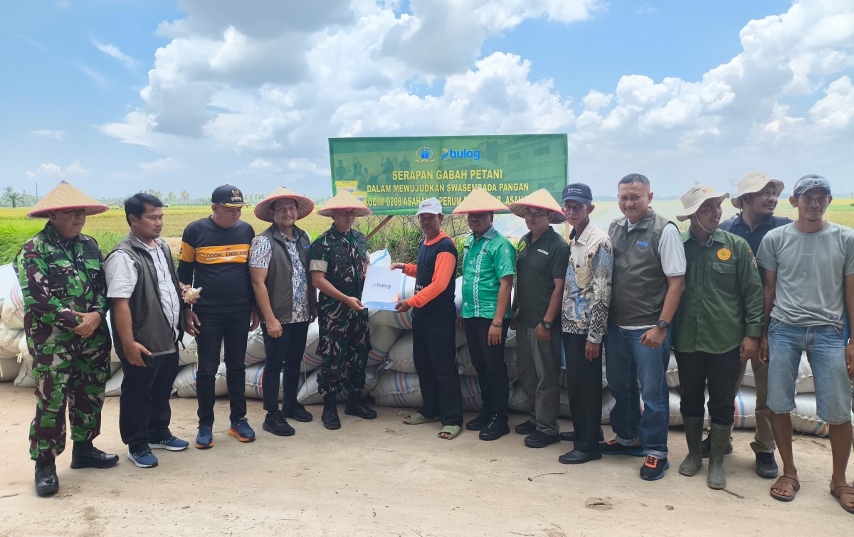 Bulog Asahan bersama Dandim 0208/Asahan Hadir di Tengah Petani, Serap Gabah Panen Gadu