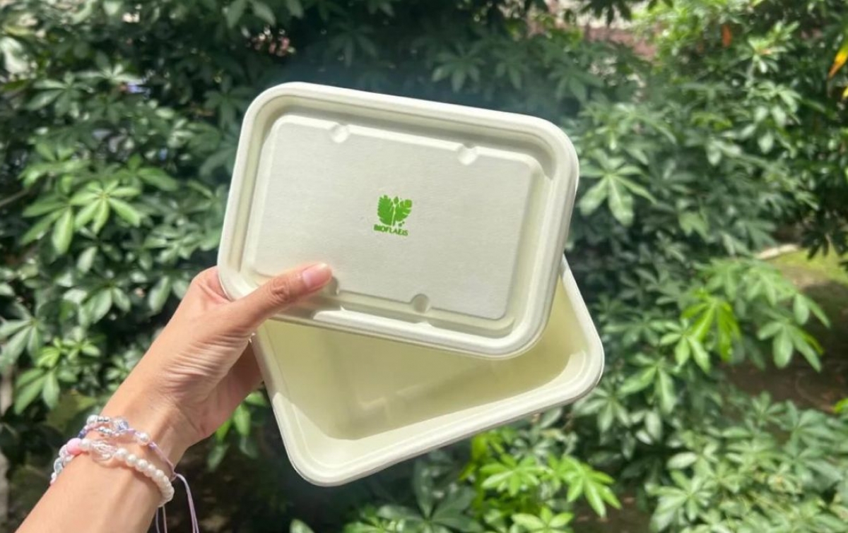 Mahasiswa USU Ciptakan Wadah Makanan Ramah Lingkungan, Terbuat dari Pelepah Sawit dan Daun Pepaya