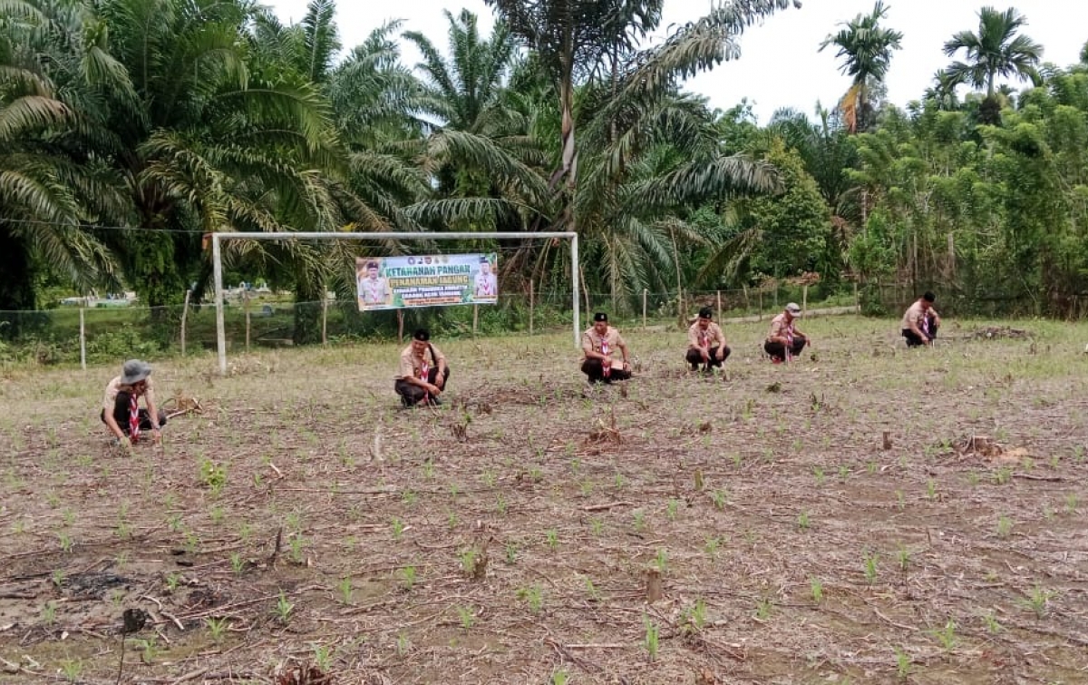 Lahan Bumper Disulap Jadi Kebun Jagung di Aceh Tamiang