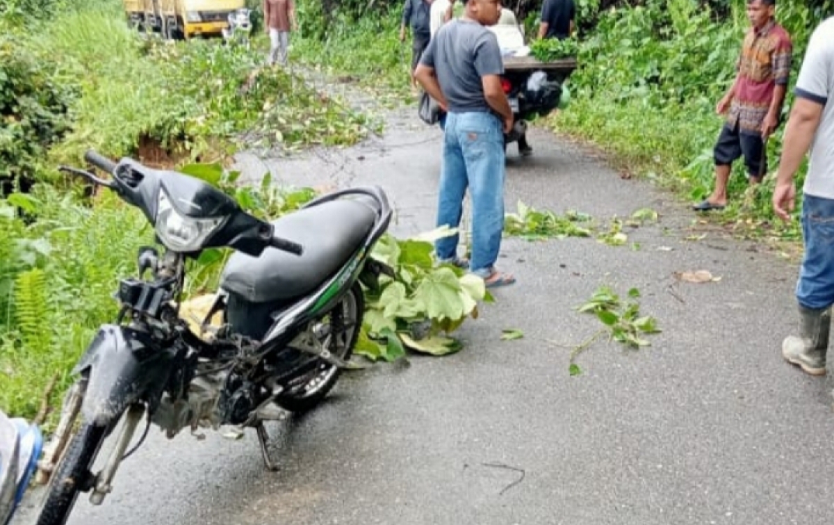 Jalan Menuju Desa Pematang Terancam Putus Total, Diduga Akibat Maraknya Galian C di Sepanjang Aliran Sungai