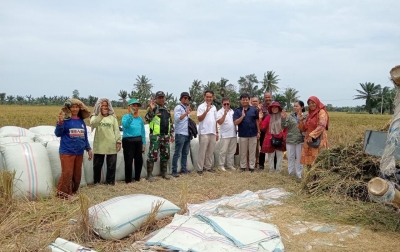 Bulog Sumut Siap Terima GKP dari Petani Rp 6.500/Kg