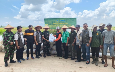 Bulog Asahan bersama Dandim 0208/Asahan Hadir di Tengah Petani, Serap Gabah Panen Gadu