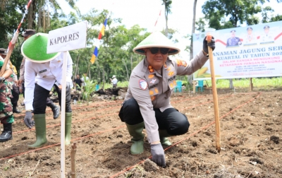 Kapolres Labuhanbatu Tanam Jagung Serentak Kuartal IV, Dukung Ketahanan Pangan Nasional