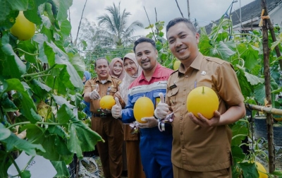 PEP Rantau Gelar Panen Raya Melon, Pemkab Tamiang: Harus Jadi Ikon Desa