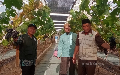 Wisata Anggur di Lingkar Sinabung, Berikut Harga Masuk hingga Cara Menuju ke Lokasi