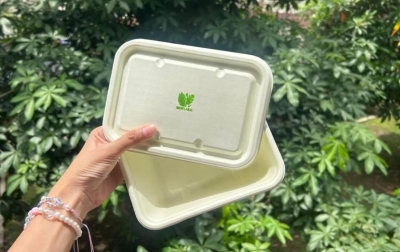 Mahasiswa USU Ciptakan Wadah Makanan Ramah Lingkungan, Terbuat dari Pelepah Sawit dan Daun Pepaya