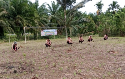 Lahan Bumper Disulap Jadi Kebun Jagung di Aceh Tamiang