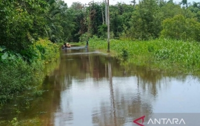 BPBD: 1.003 Jiwa Warga di Aceh Barat Terdampak Banjir