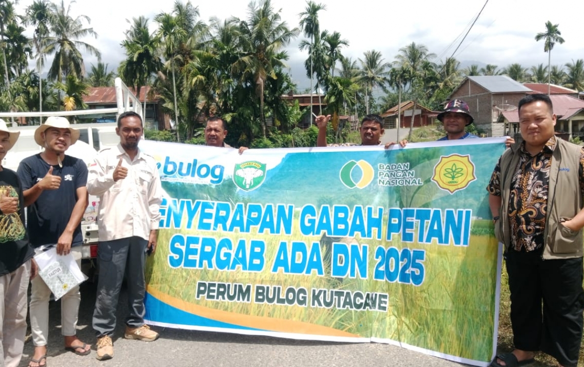 Tani Merdeka Aceh Tenggara Kawal Harga Gabah di Tingkat Petani