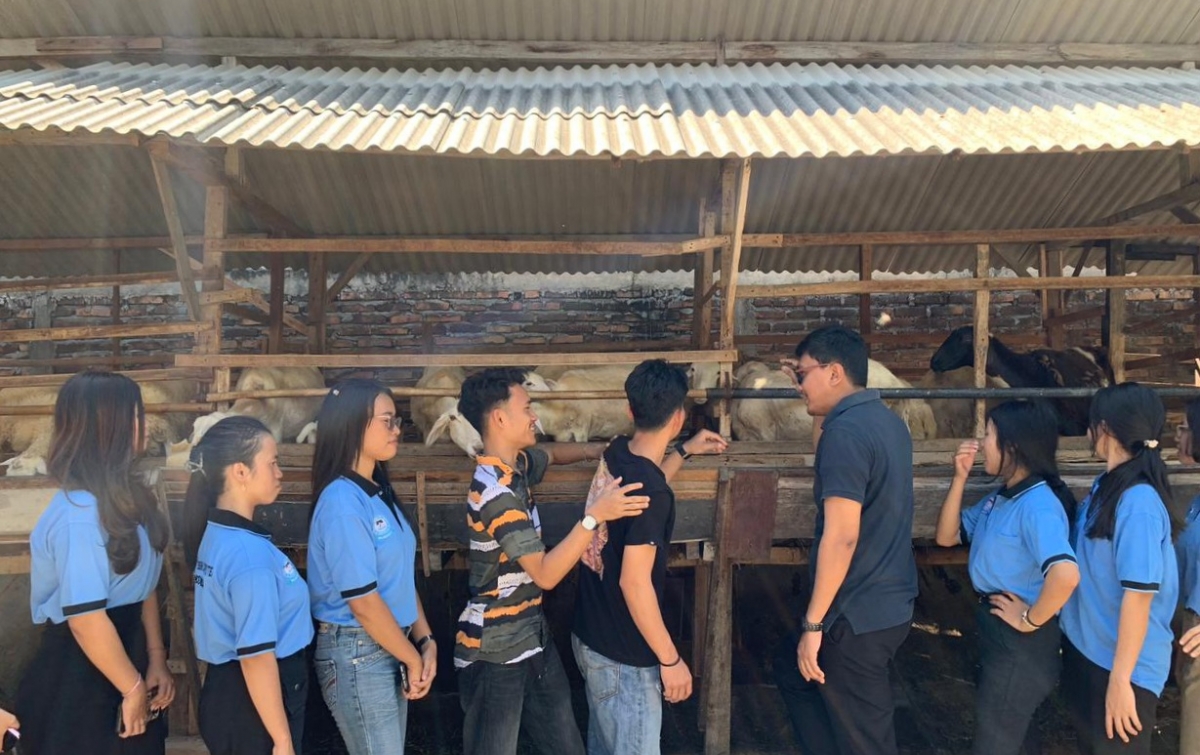 Bioferduk: Ketika Ilmu Kampus Bertemu Kearifan Lokal untuk Peternakan Mandiri