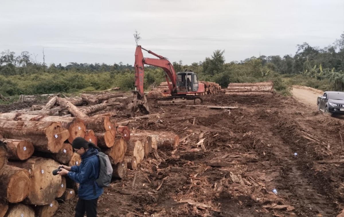 Pembabatan Hutan Picu Amarah Warga Parbuluan 6 Dairi